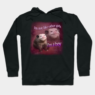 Boy Possum Meme Hoodie